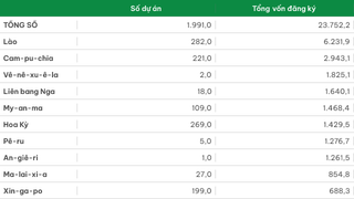 Đầu tư trực tiếp ra nước ngoài được cấp giấy phép phân theo đối tác đầu tư chủ yếu (Luỹ kế các dự án còn hiệu lực đến ngày 31/12/2025)