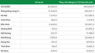 Đầu tư trực tiếp của nước ngoài được cấp giấy phép phân theo địa phương (Lũy kế các dự án còn hiệu lực đến ngày 31/12/2024)