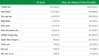 Đầu tư trực tiếp của nước ngoài được cấp giấy phép phân theo đối tác đầu tư chủ yếu (Luỹ kế các dự án còn hiệu lực đến ngày 31/12/2025)
