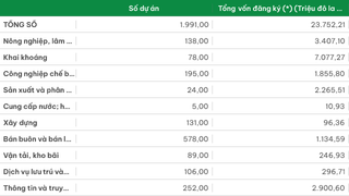 Đầu tư trực tiếp ra nước ngoài được cấp giấy phép phân theo ngành kinh tế (Lũy kế các dự án còn hiệu lực đến ngày 31/12/2025)
