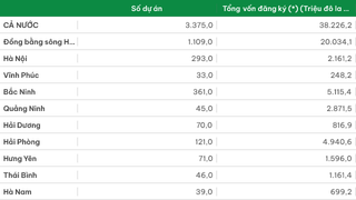 Đầu tư trực tiếp của nước ngoài được cấp giấy phép năm 2024 phân theo địa phương